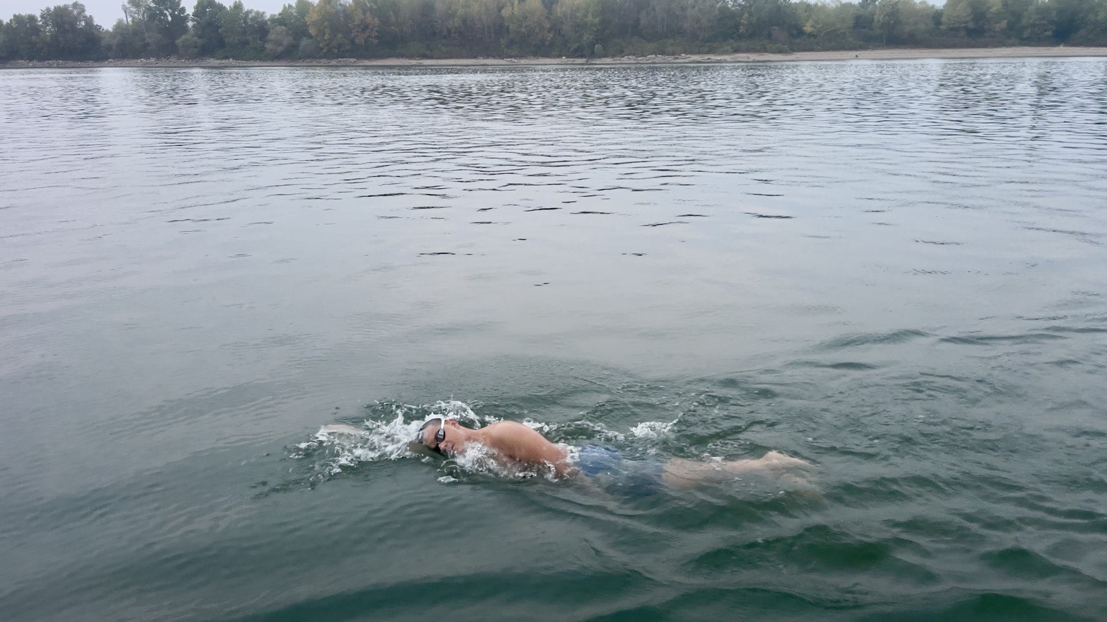 Tsanko Tsankov has set a new record by swimming 100 kilometers continuously in the Danube