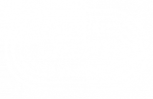 FSB-logo-01-white